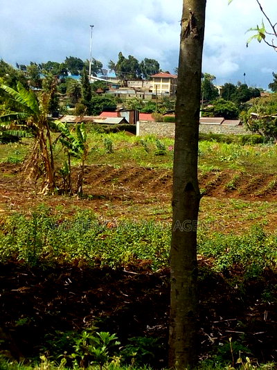 100*100 Plot on Sale at Kamirithu Limuru - Image 4