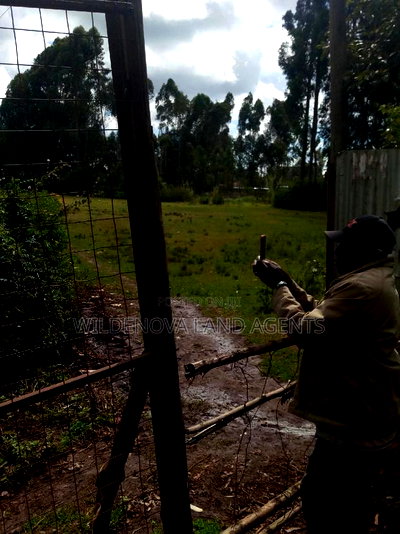 100*100 Plot on Sale at Kamirithu Limuru - Image 7