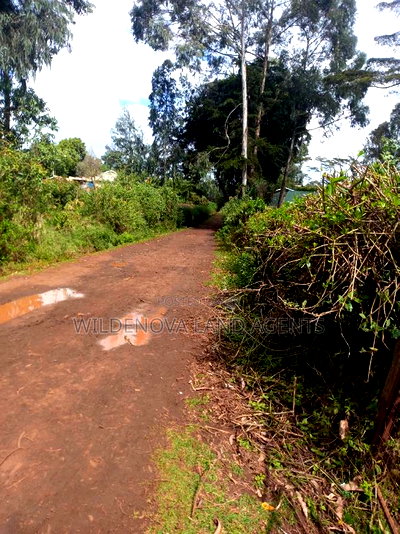 100*100 Plot on Sale at Kamirithu Limuru - Image 5