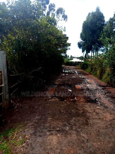 100*100 Plot on Sale at Kamirithu Limuru - Image 2