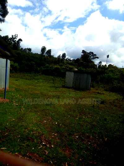 100*100 Plot on Sale at Kamirithu Limuru - Image 3