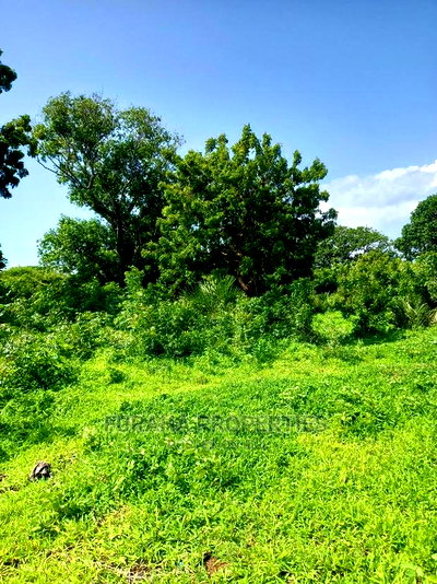 For Sale Prime Residential Plots Vipingo - Image 6