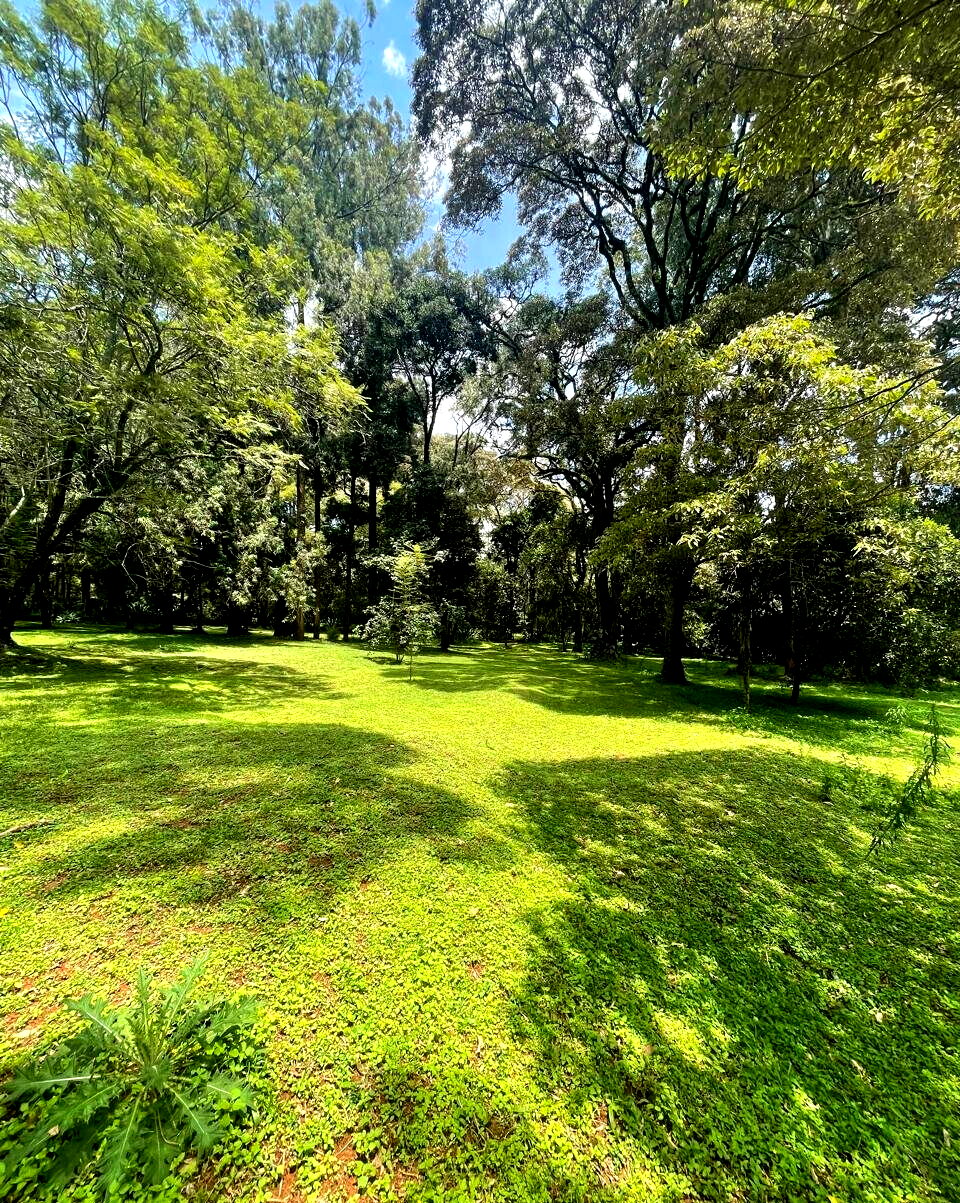 Garden Plot with Parking at KSh 75M