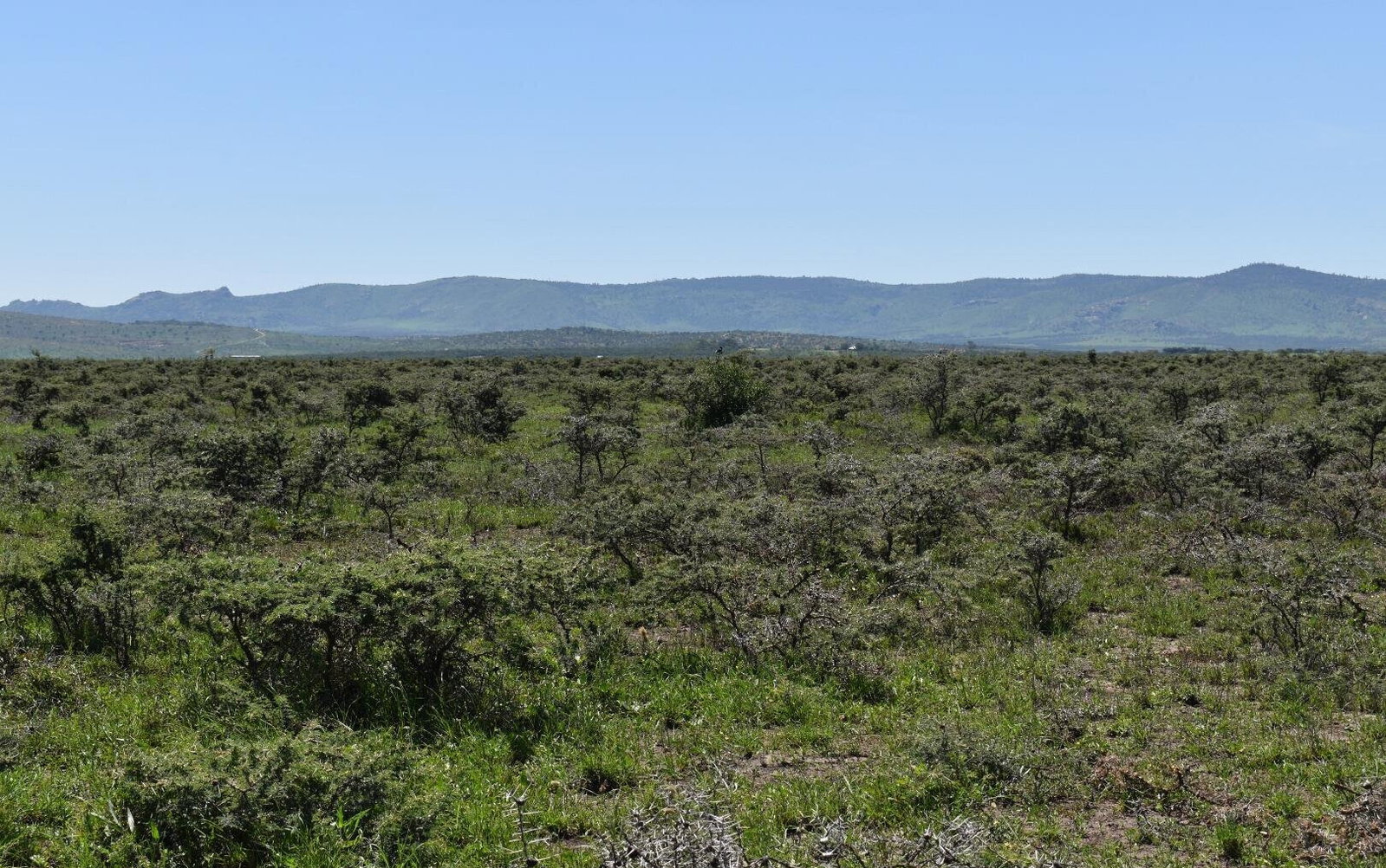 5-Acre Plot with Garden & Parking at KSh 10.5M