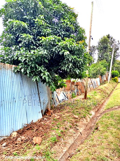 Runda Prime Plot on Sale, 1/2 Acre, Title - Image 3