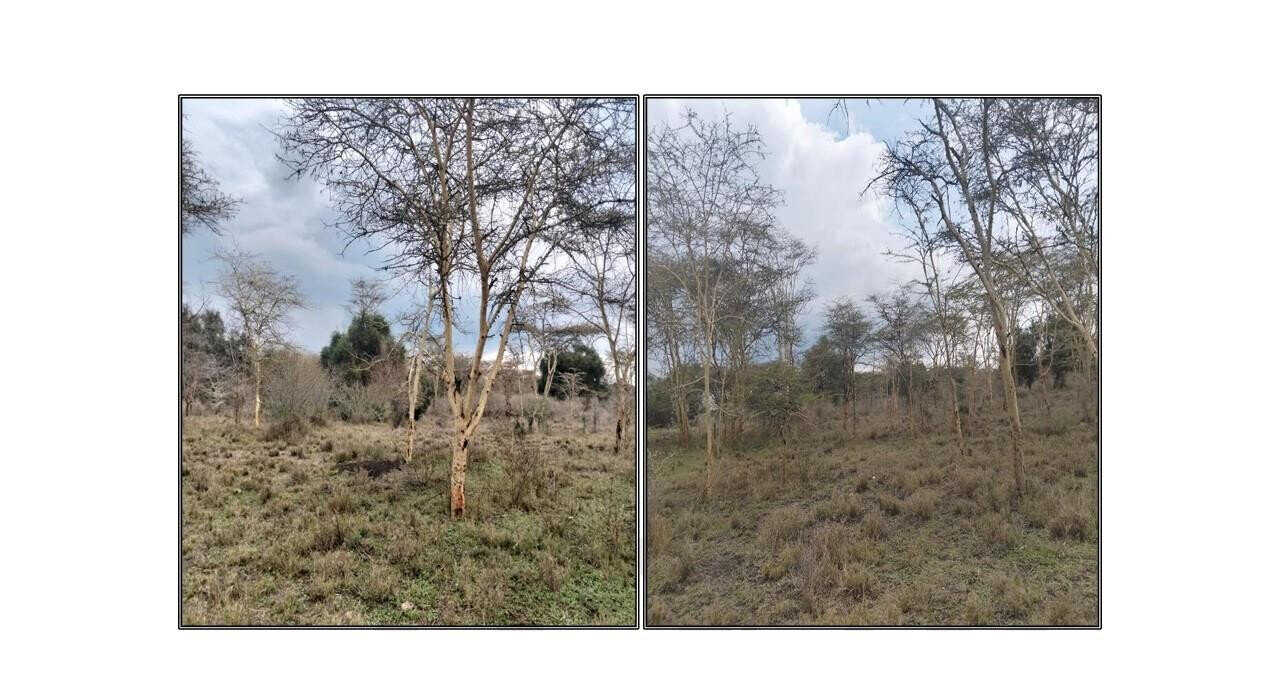 3.6-Acre Plot in Isinya