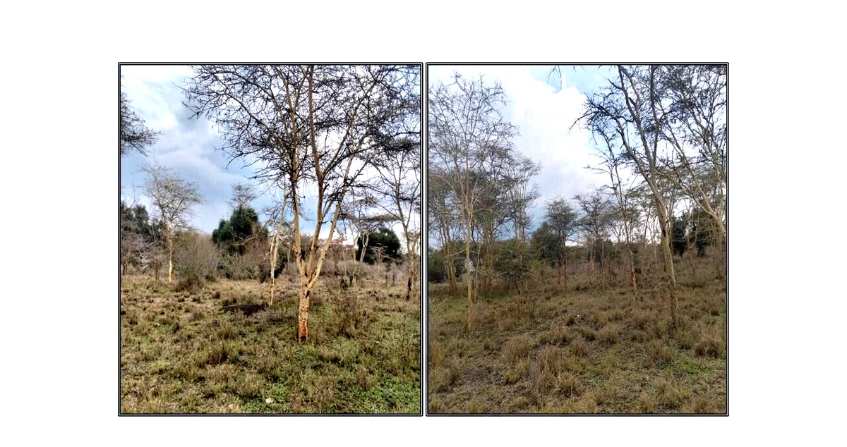 3.6-Acre Plot in Isinya