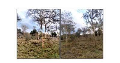 3.6-Acre Plot in Isinya
