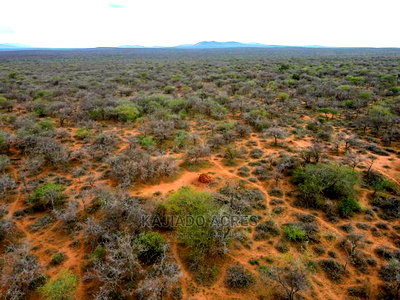 138 Acres Mailwa (Kajiado Central)At at 300k Per Acre - Image 6