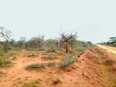 138 Acres Mailwa (Kajiado Central)At at 300k Per Acre - Image 5