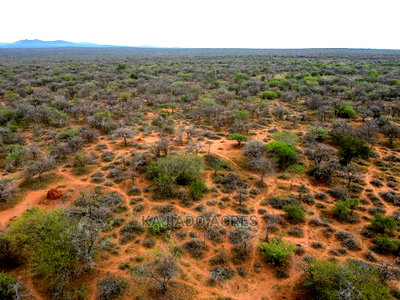 138 Acres Mailwa (Kajiado Central)At at 300k Per Acre - Image 8