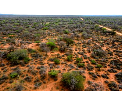 138 Acres Mailwa (Kajiado Central)At at 300k Per Acre - Image 4