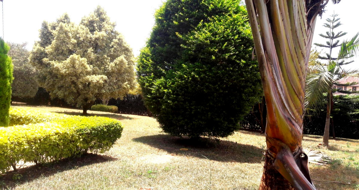 5BR All-Ensuite Townhouse with Big Garden & Fireplace - Runda