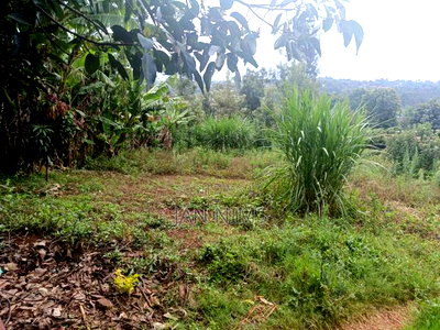 1/4 Acre Residential Plot, Ngong Kibiko, 300metres From Tarmac - Image 2