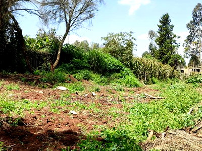 3 Acres of Land for Sale in Ngong, Kahara Road Plus Farm Buildings - Image 6
