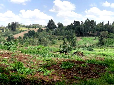 3 Acres of Land for Sale in Ngong, Kahara Road Plus Farm Buildings - Image 5