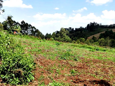 3 Acres of Land for Sale in Ngong, Kahara Road Plus Farm Buildings - Image 4