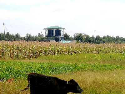 Prime Plots Opposite KARI Njoro - Image 5