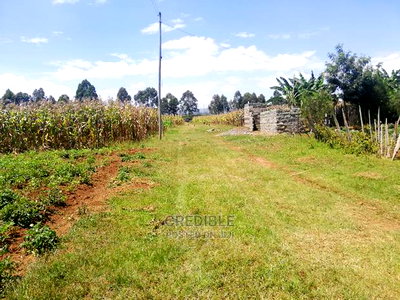 Prime Plots Opposite KARI Njoro - Image 2