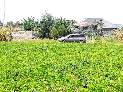 Prime Plots Opposite KARI Njoro - Image 3