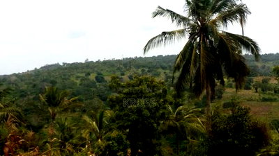 10.5 Acre Plot of Land for Sale Along Vipingo Ridge - Image 1