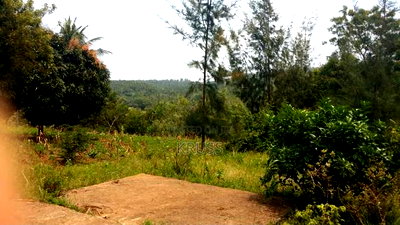 10.5 Acre Plot of Land for Sale Along Vipingo Ridge - Image 4
