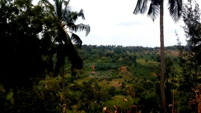 10.5 Acre Plot of Land for Sale Along Vipingo Ridge - Image 3