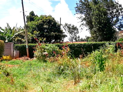 100x100 Plot for Sale in Kikuyu Ondiri Kiambu - Image 3