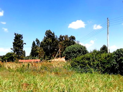 100x100 Plot for Sale in Kikuyu Ondiri Kiambu - Image 2