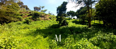 2.5-Acre Land with River Frontage - Nanyuki