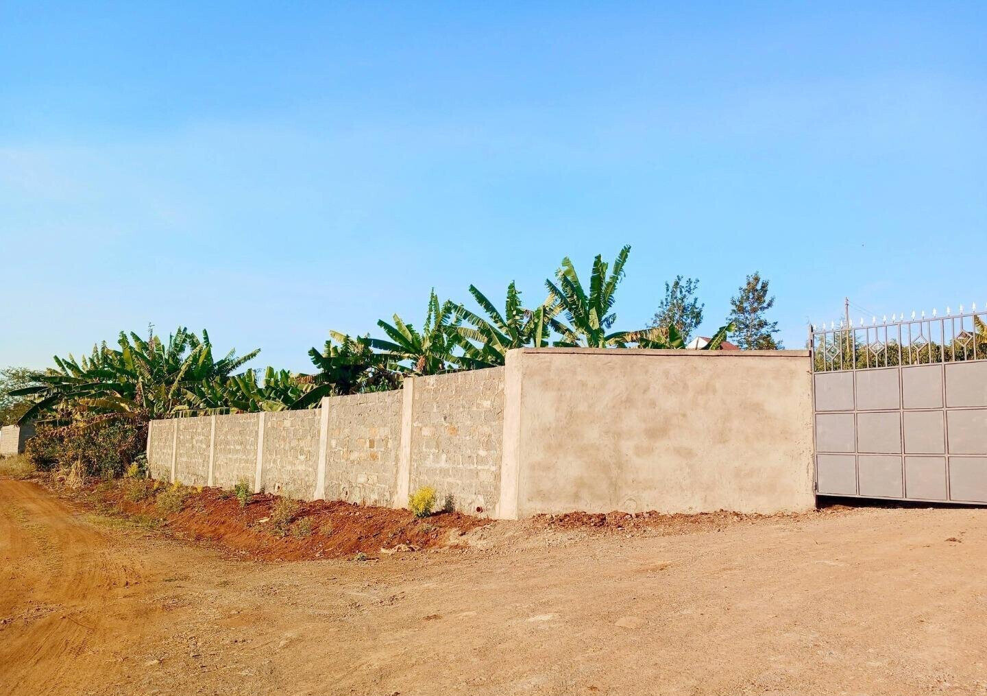 KSh 5M Plot in Ruiru