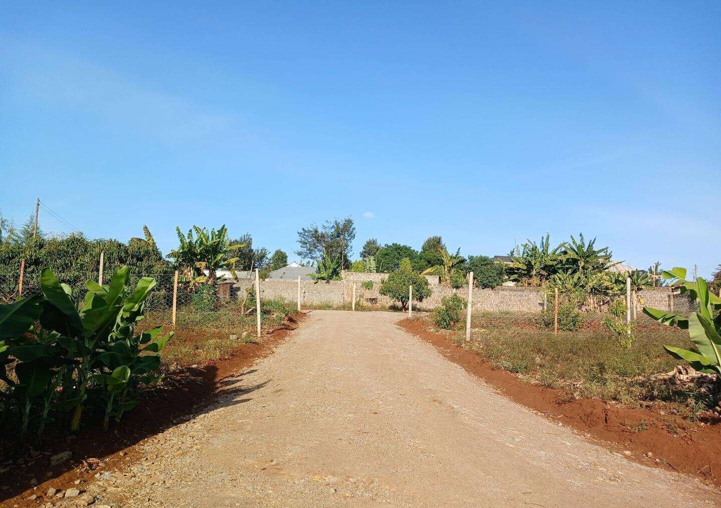 KSh 5M Plot in Ruiru