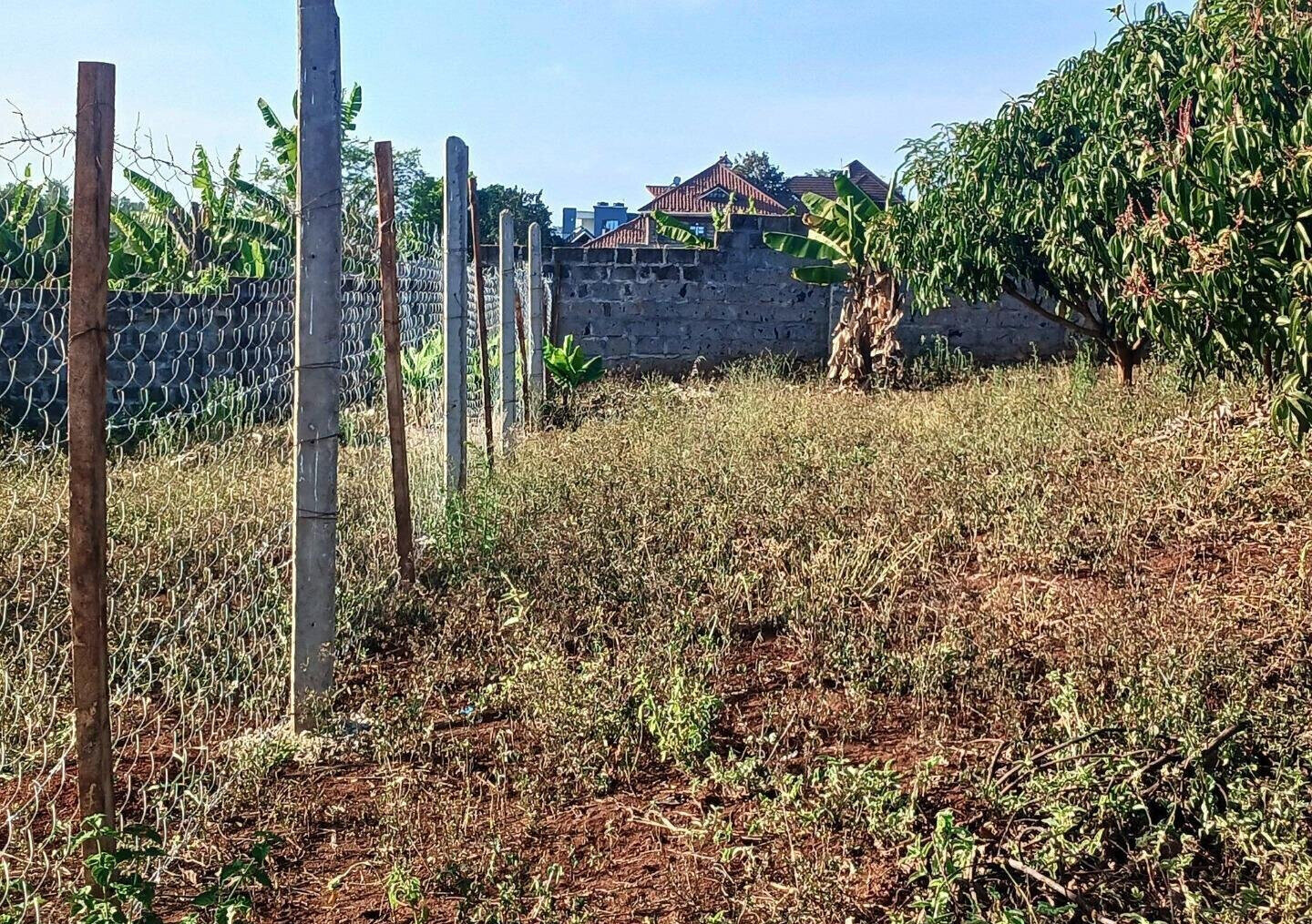 KSh 5M Plot in Ruiru