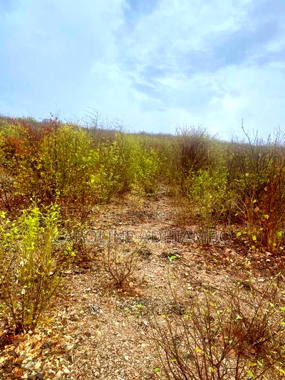 Breezy Hills Estate 1/8 Acre in Malindi: - Image 4