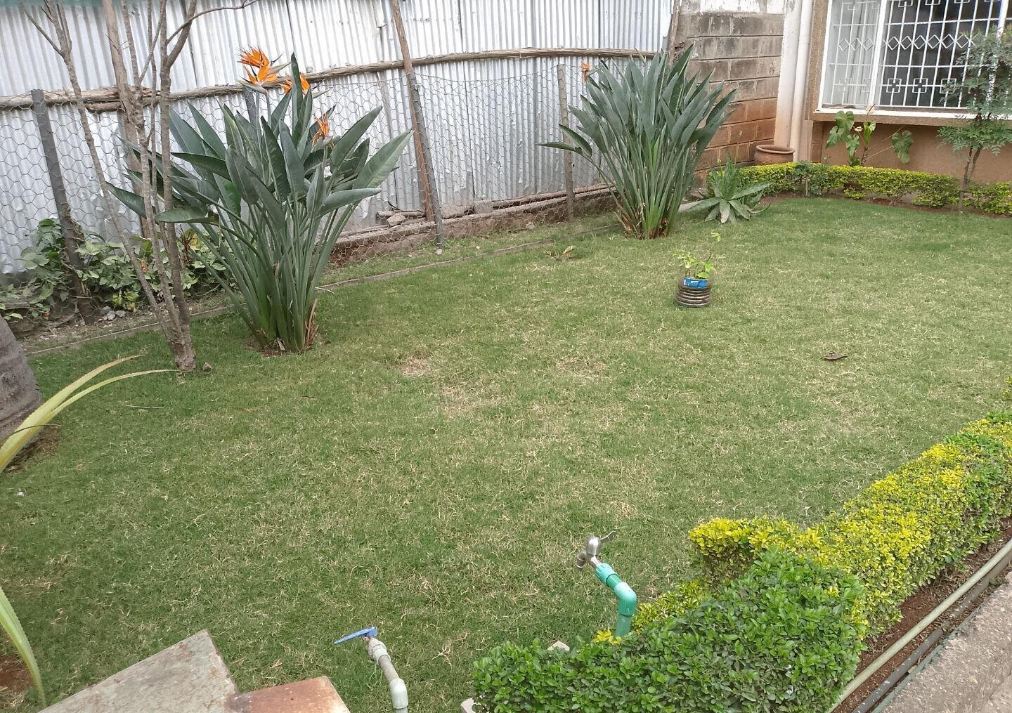 Quarter Acre Westlands Gem