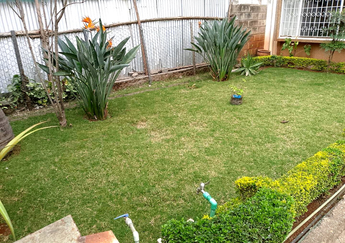 Quarter Acre Westlands Gem