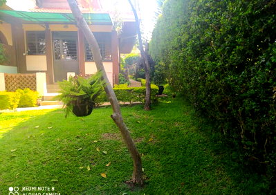 Cozy 1BR Cottage at KSh 90K