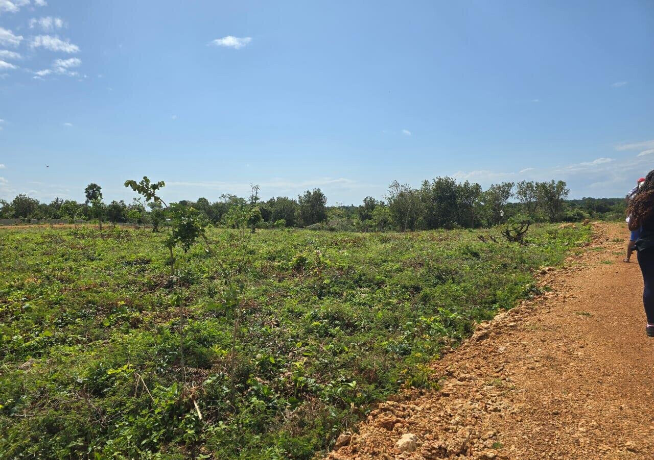 50x100 Plot in Gated Community, Ukunda
