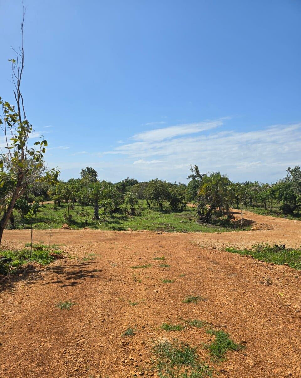 50x100 Plot in Gated Community, Ukunda
