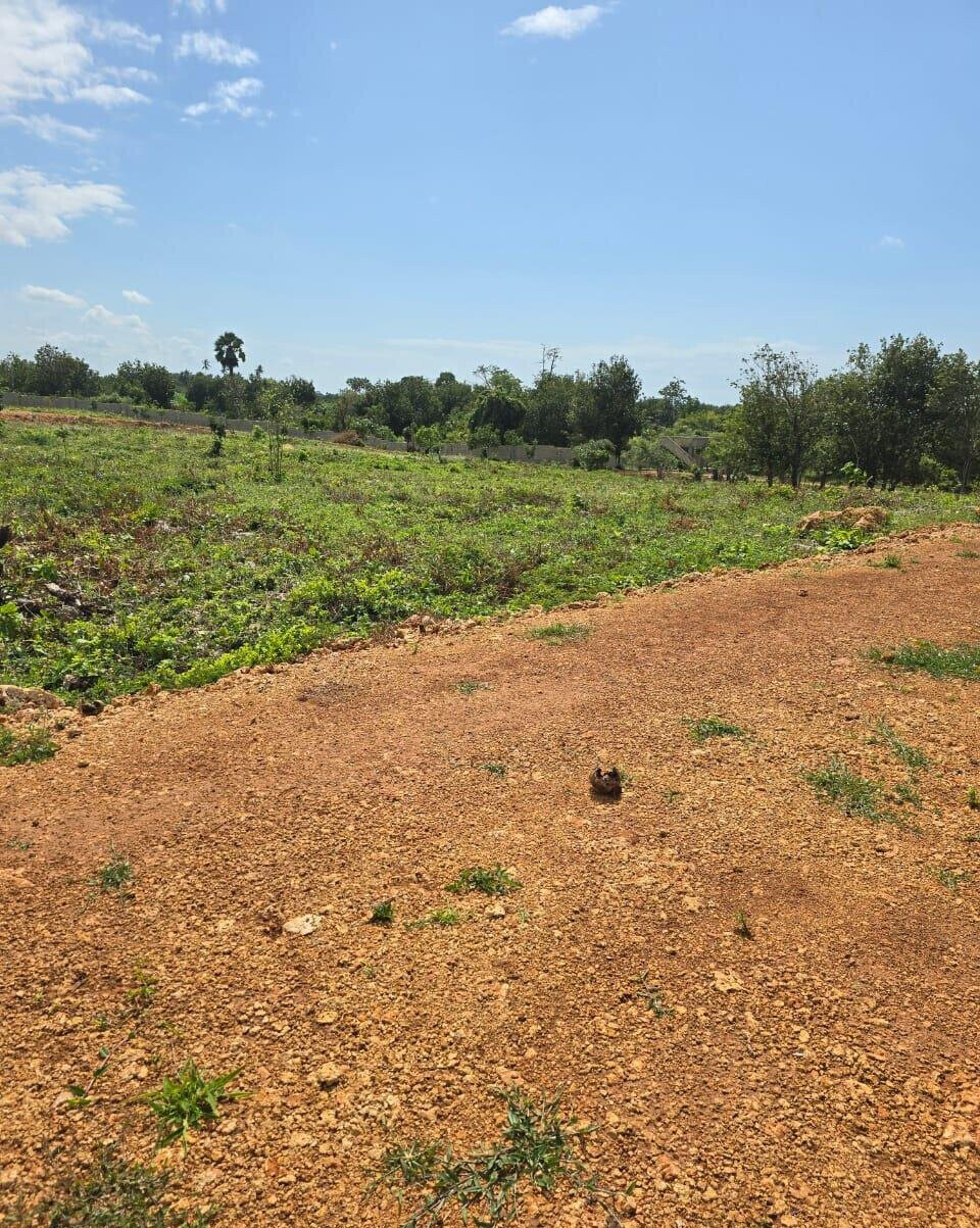 50x100 Plot in Gated Community, Ukunda