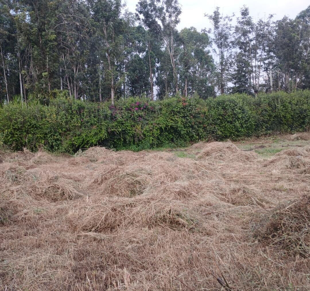 Quarter Acre in Kajiado CBD at KSh 7.5M