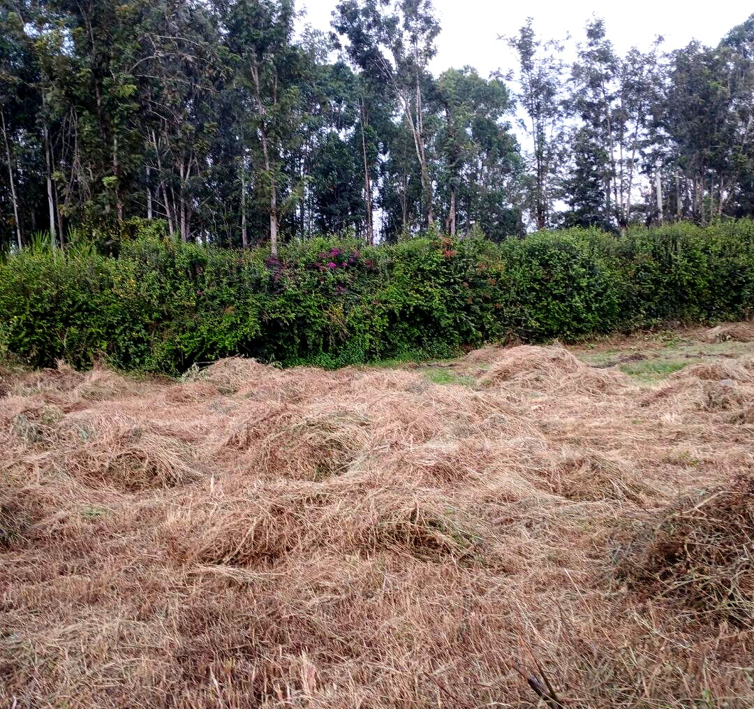 Quarter Acre in Kajiado CBD at KSh 7.5M