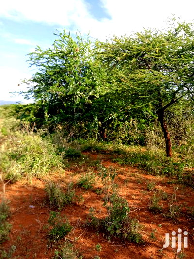 5 Acres Farming Land in Eremit(Near Tinga )At Per Acre - Image 5