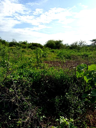 5 Acres Farming Land in Eremit(Near Tinga )At Per Acre - Image 4