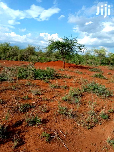 5 Acres Farming Land in Eremit(Near Tinga )At Per Acre - Image 3