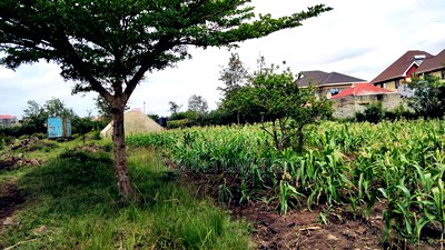 Land for Sale in Ruiru - Varsityville Estate - Image 4