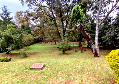 1.1-Acre Lavington Plot with Garden