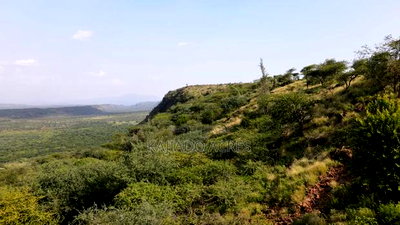 33acre Ngororoi at Per Acre - Image 9