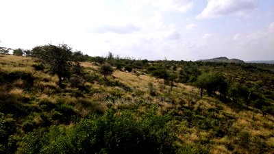 33acre Ngororoi at Per Acre - Image 6