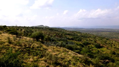 33acre Ngororoi at Per Acre - Image 5